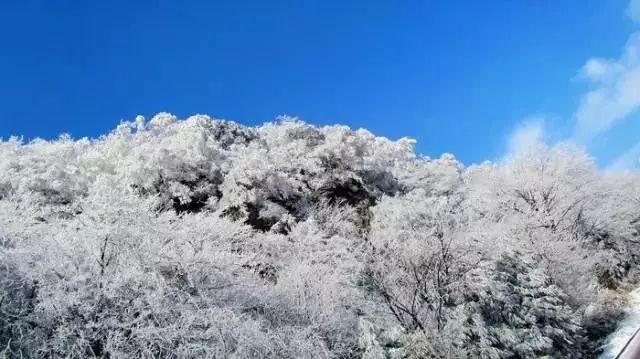 专家在线解答,快速解决问题-深蹲的正确姿势是怎样的?问答网